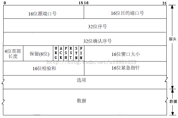 tcp_head